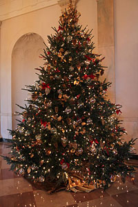 The 2009 White House Christmas Tree after it was presented to President and First Lady Barrack and Michelle Obama by Eric and Gloria Sundback, of Dan and Bryans Christmas Trees (formerly Sundbacks Christmas Trees.)